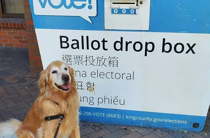 February 2025 Special Election Voting Guide
